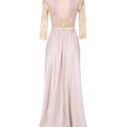 Plus Size Apricot Transparent Embroidery Gown