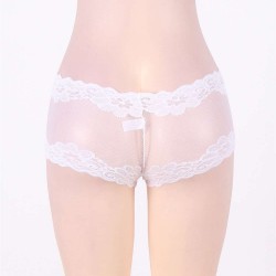 Sexy White Lace Mesh Panty