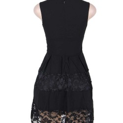 Plus Size Lace Mesh Sleeveless Pleated Black Skater Dress