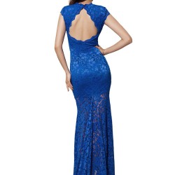 Plus Size Blue Lace Backless Party Gown