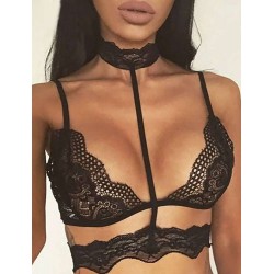 Plus Size Seductive Strappy Choker Lace Bra Lingerie Plus Size Seductive Strappy Choker Lace Bra Lingerie