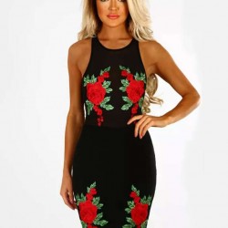 Elegant Embroidery Fashion Dress Black Bodycon