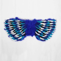 Stage Feather Butterfly Wings