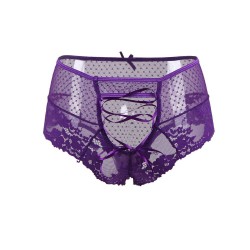 Plus Size Sexy Purple High Waist Lace Strappy Panty