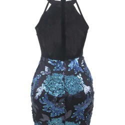 Mesh Sequin Tight-fitting Backless Sexy Dress