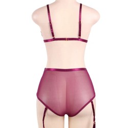 Soft Velvet With A Sheer Mesh Trim Bra Set