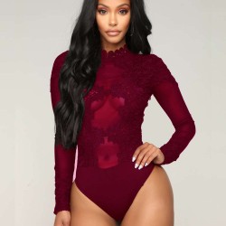 Fashion Erogenous Lace Applique Bodysuit For Women